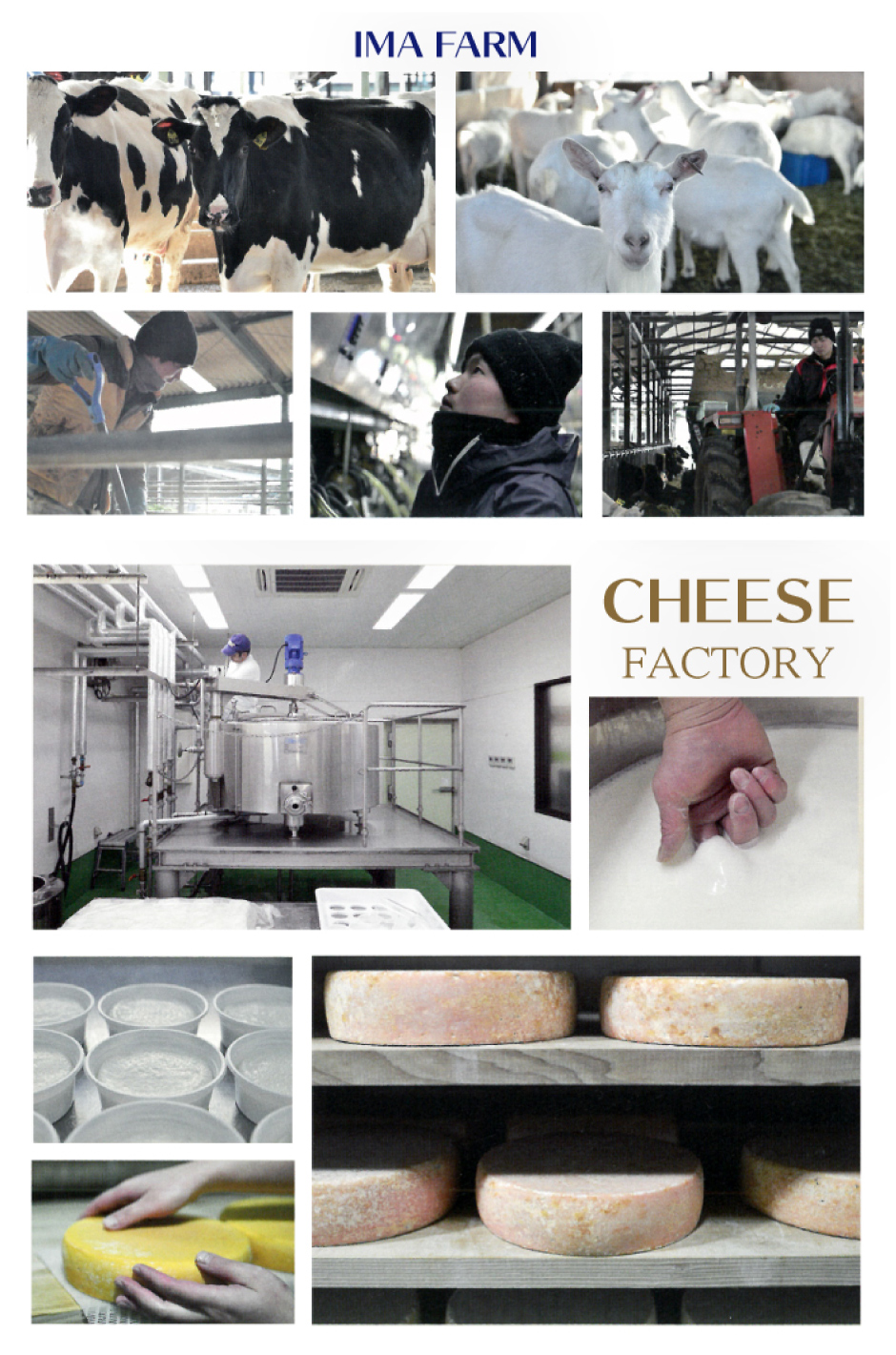 　牧場仕込み  自家産生乳・生山羊乳100％ のミルク使用