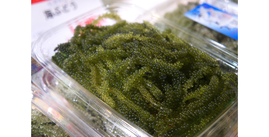 潜入レポ！インターパークで開催中の"ご当地グルメフェアmini vol.1"