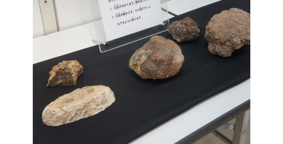 恐竜キッズ必見!インターパーク店で開催中の"飛び出す3D恐竜展"に行ってみました!!