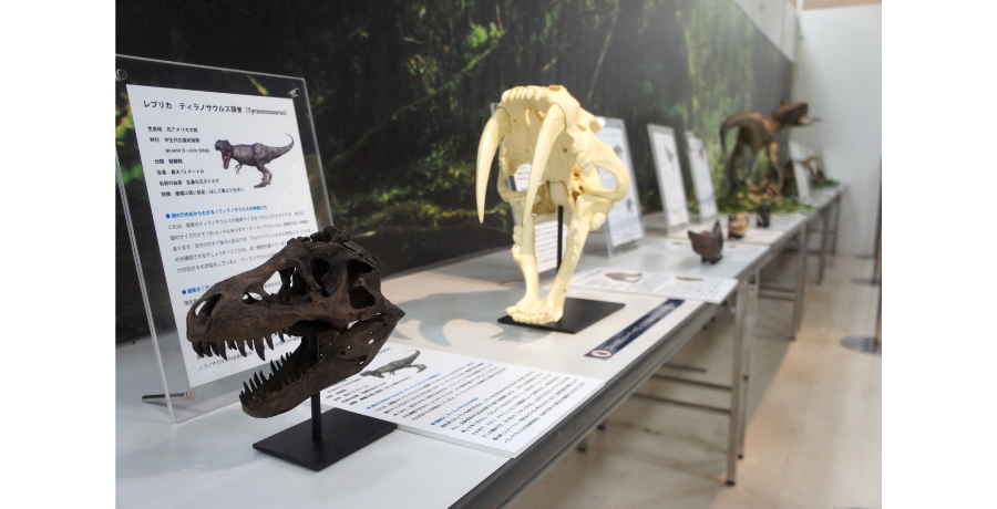 恐竜キッズ必見!インターパーク店で開催中の"飛び出す3D恐竜展"に行ってみました!!