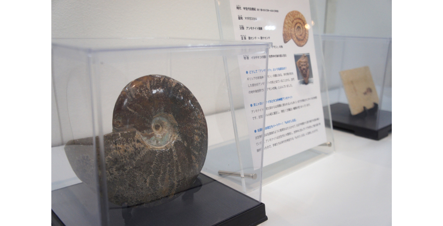 恐竜キッズ必見！インターパーク店で開催中の"飛び出す3D恐竜展"に行ってみました！！