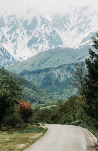【FLATLAND ３つのゾーン】zone2 - MOUNTAIN LIFE -