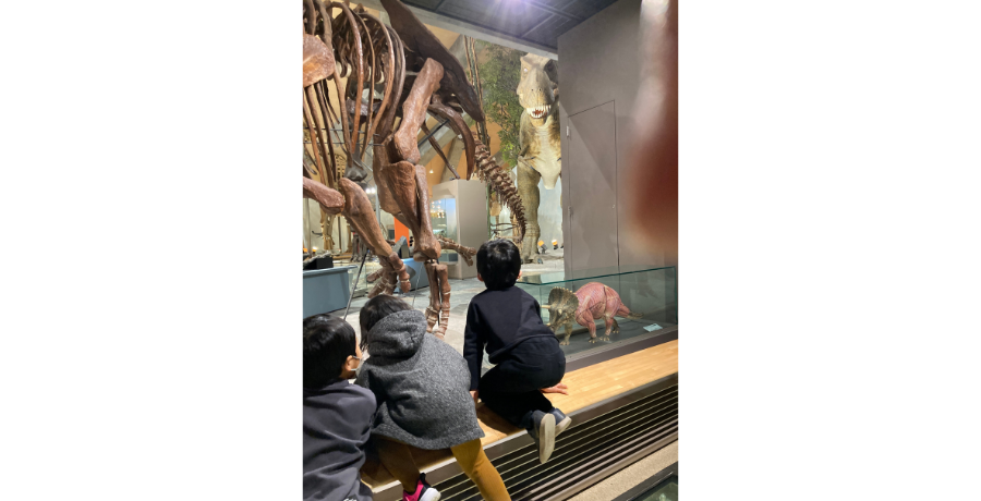 徹底調査!全国の恐竜博物館に行ってみました。