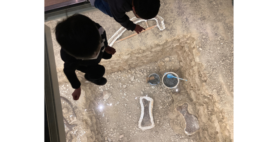 徹底調査！全国の恐竜博物館に行ってみました。