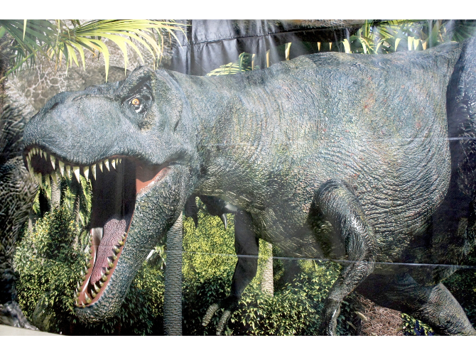 恐竜キッズ必見！インターパーク店で開催中の"飛び出す3D恐竜展"に行ってみました！！
