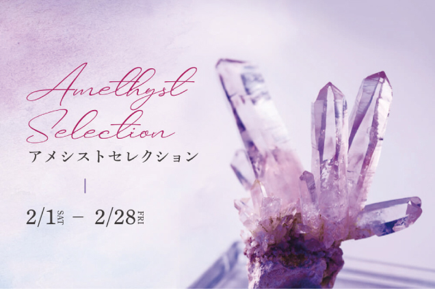 アメシストセレクション開催
