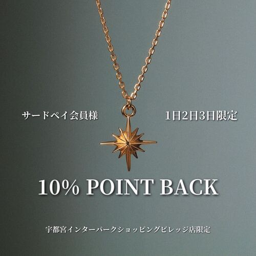 〈SAAD〉インターパークビレッジ店限定! 月初3日間 シルバー全品10%ポイントバック