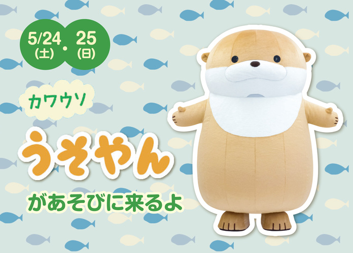 「カワウソうそやん」が遊びにくるよ