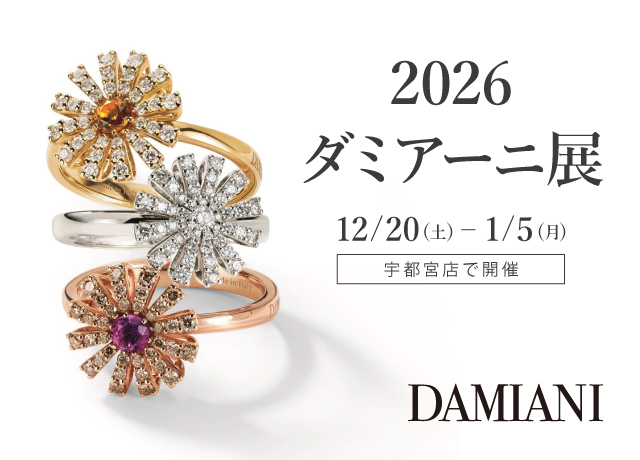 2026ダミアーニ展
