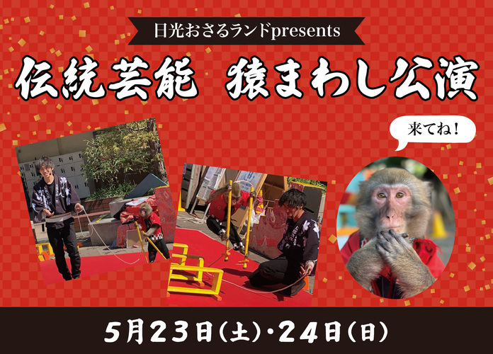 日光おさるランド presents 『伝統芸能 猿まわし公演』
