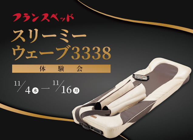 〈フランス〉スリーミーウェーブ3338体験会