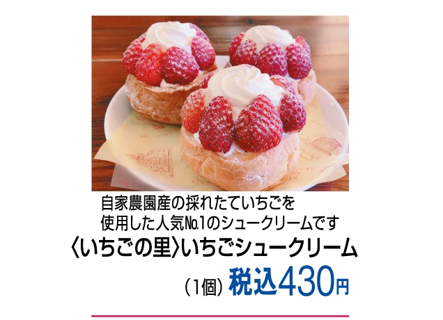 ストロベリースイーツ＆パンフェスタ