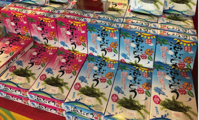 沖縄物産展