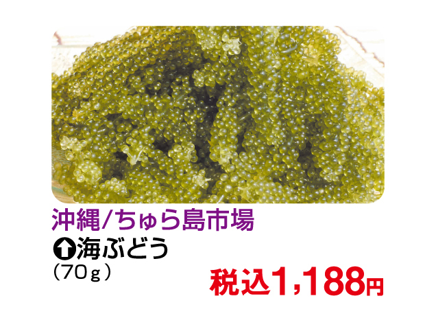 食の大祭典〜ベストセレクション〜第1弾