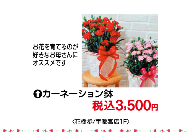 母の日プレゼントフェア