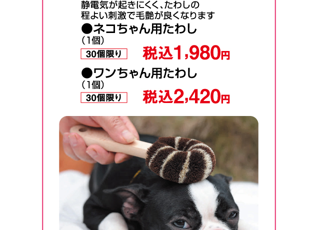 匠の技・職人展