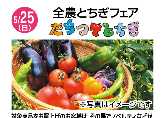 食料品コーナー お楽しみイベント
