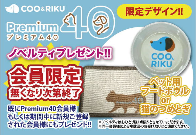 ペットショップCoo&RIKU グランドオープン