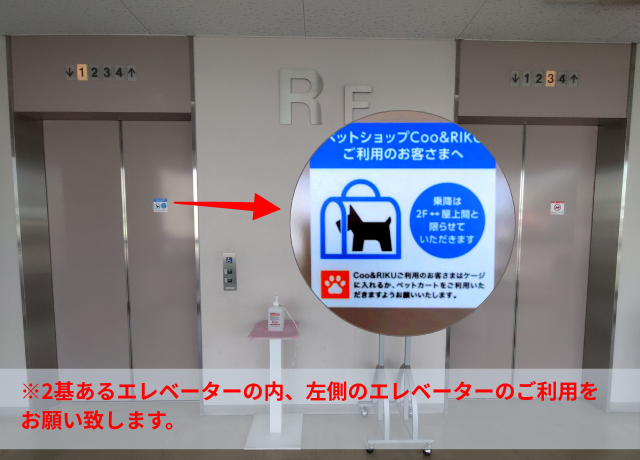 犬猫好き必見！８月ニューオープンのCoo＆RIKUってどんなところ？