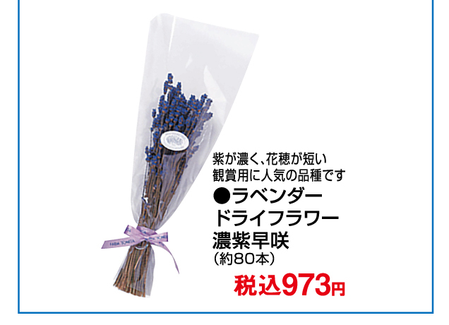 大北海道物産展