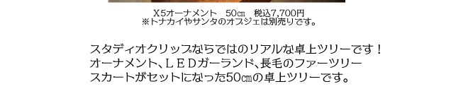 *☆HAPPY MERRY CHRISTMAS☆*~クリスマスを彩る専門店おすすめ商品~