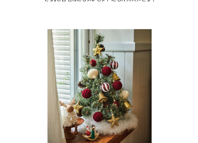 *☆HAPPY MERRY CHRISTMAS☆*~クリスマスを彩る専門店おすすめ商品~