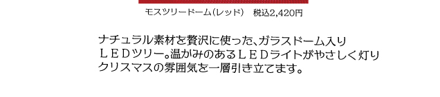 *☆HAPPY MERRY CHRISTMAS☆*~クリスマスを彩る専門店おすすめ商品~