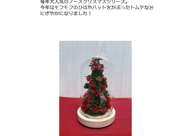 *☆HAPPY MERRY CHRISTMAS☆*～クリスマスを彩る専門店おすすめ商品～
