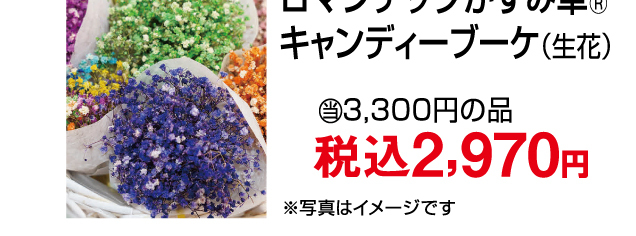ホワイトデーギフト特集
