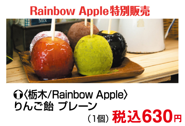 ドンドンダウンオンウェンズデイ宇都宮掘り出し物バーゲン