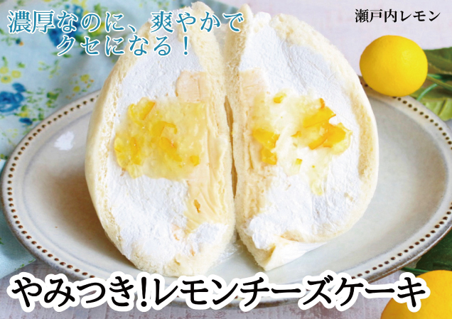 期間限定　和・洋スイーツフェスタ