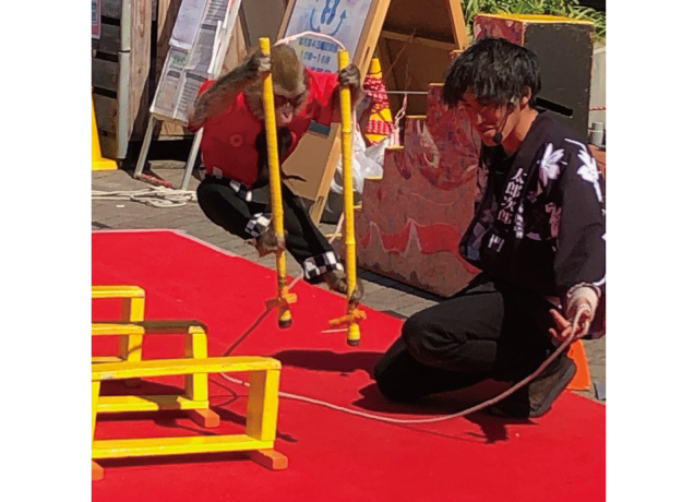 日光おさるランド presents 『伝統芸能 猿まわし公演』