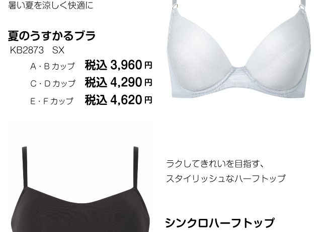 ウイングキャンペーン