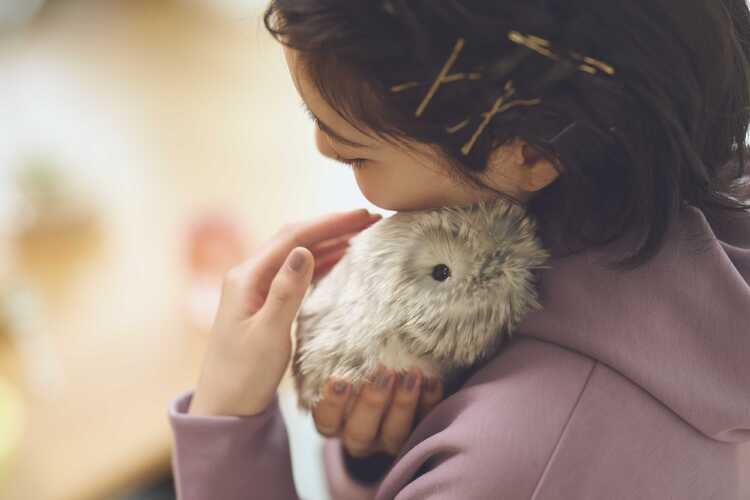 CASIO「Moflin」体験会