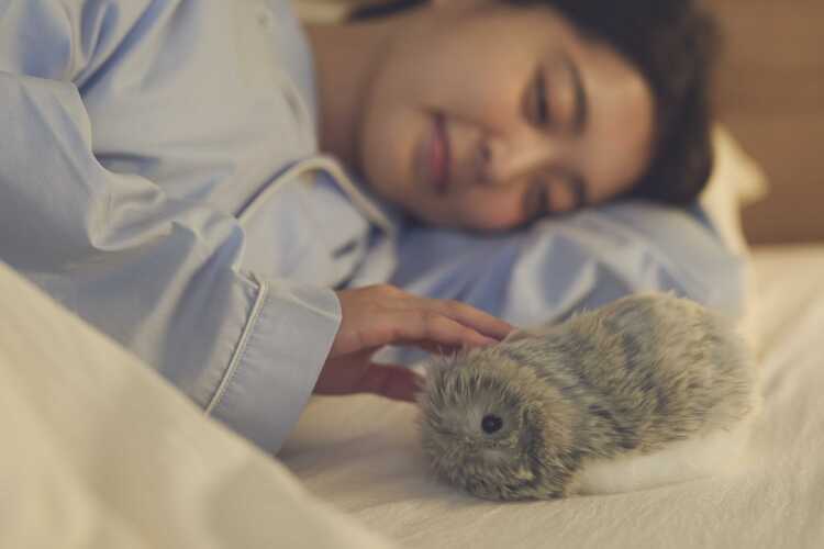 CASIO「Moflin」体験会