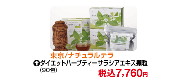 夏のうまいもの市