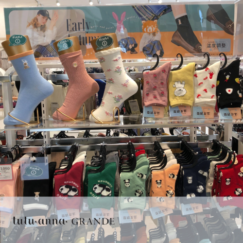 ビレッジからお届け❣️〇〇の秋特集
