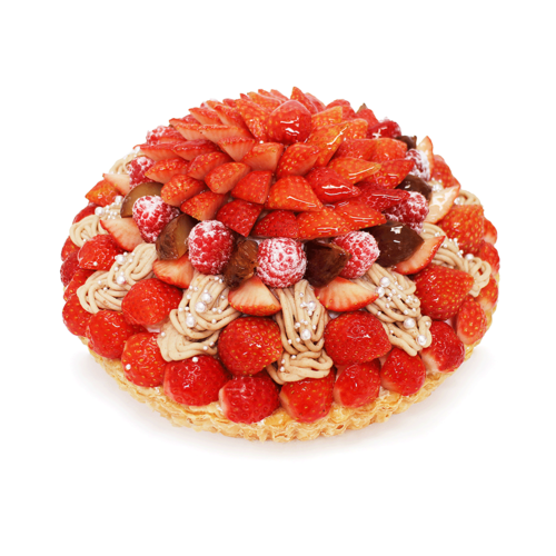 *☆HAPPY MERRY Christmas☆*～クリスマスを彩る専門店おすすめ商品～