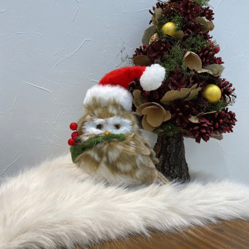 *☆HAPPY MERRY Christmas☆*～クリスマスを彩る専門店おすすめ商品～