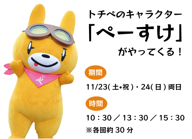 トチぺpresents クッキー缶フェスティバル