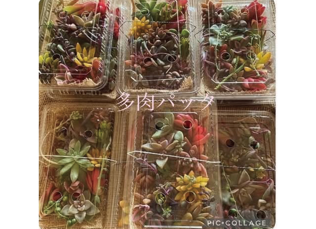 FKDハンドメイド&占いマルシェ/チョークアート展